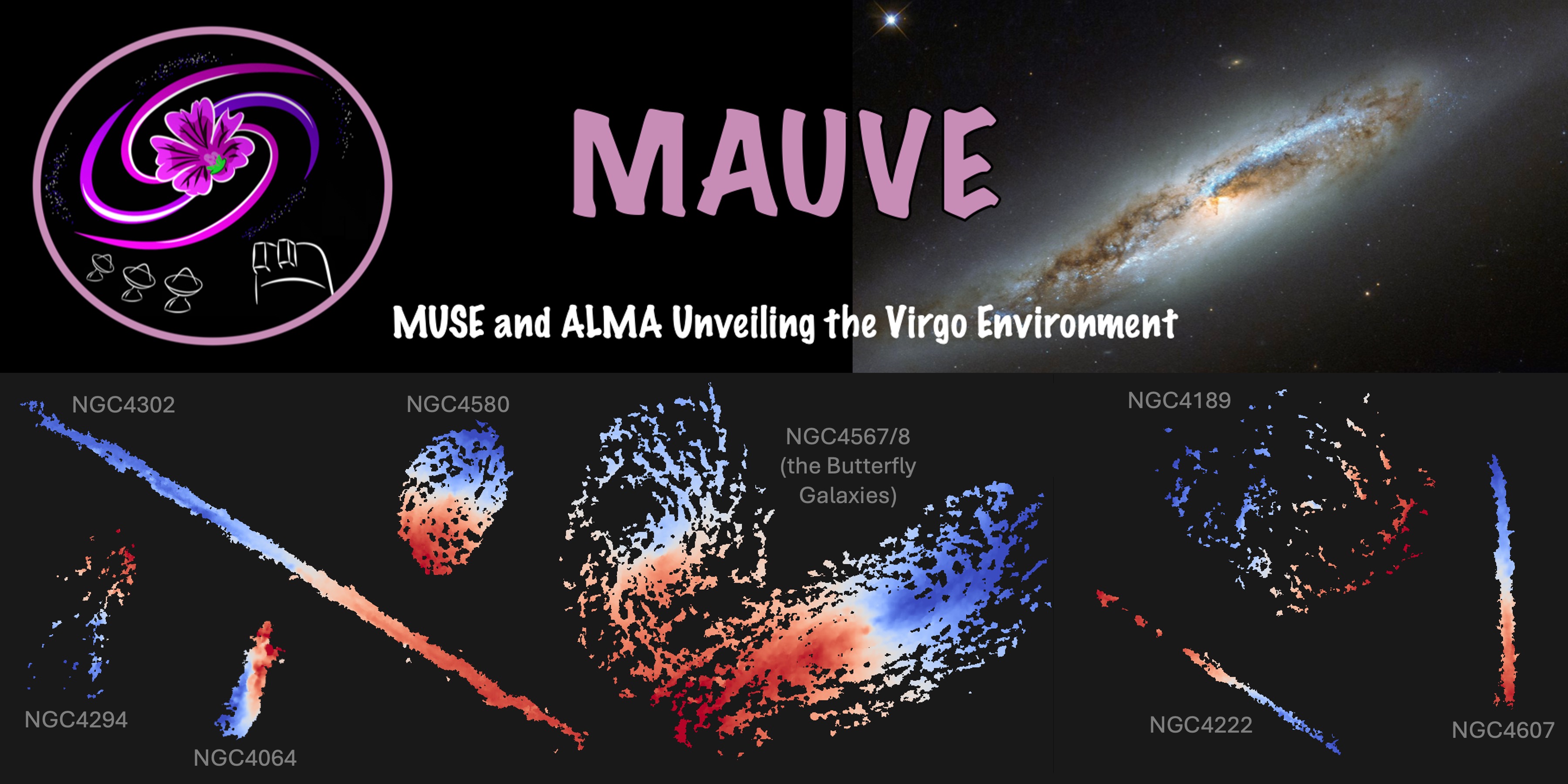 MAUVE survey banner and ALMA CO velocity maps